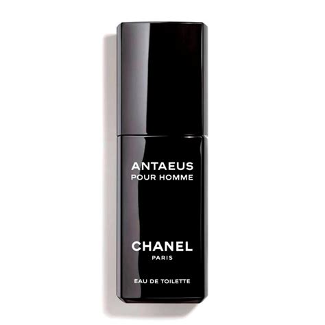 antaeus chanel 50ml|cheapest Chanel antaeus equivalent.